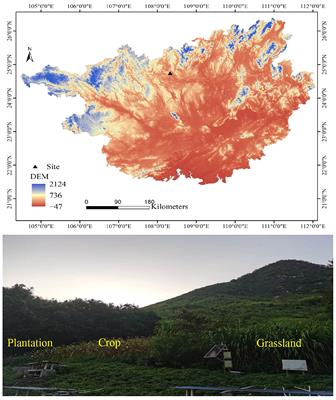 Effect of different vegetation restoration patterns on community structure and co-occurrence networks of soil fungi in the karst region